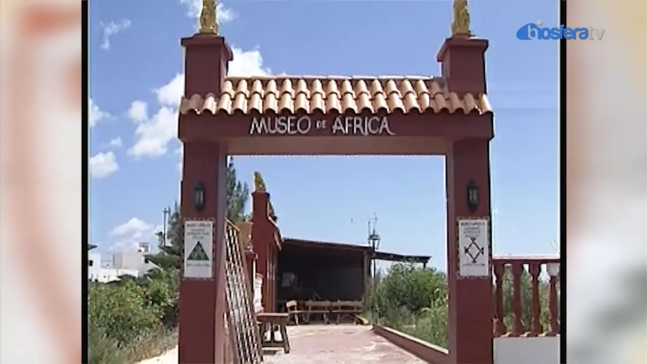 Museo Arrieta