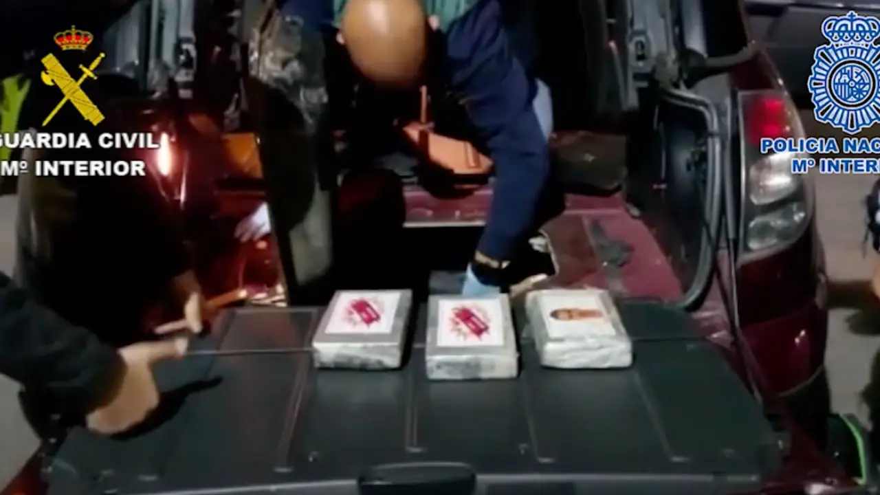 Intervenci&oacute;n contra la organizaci&oacute;n criminal