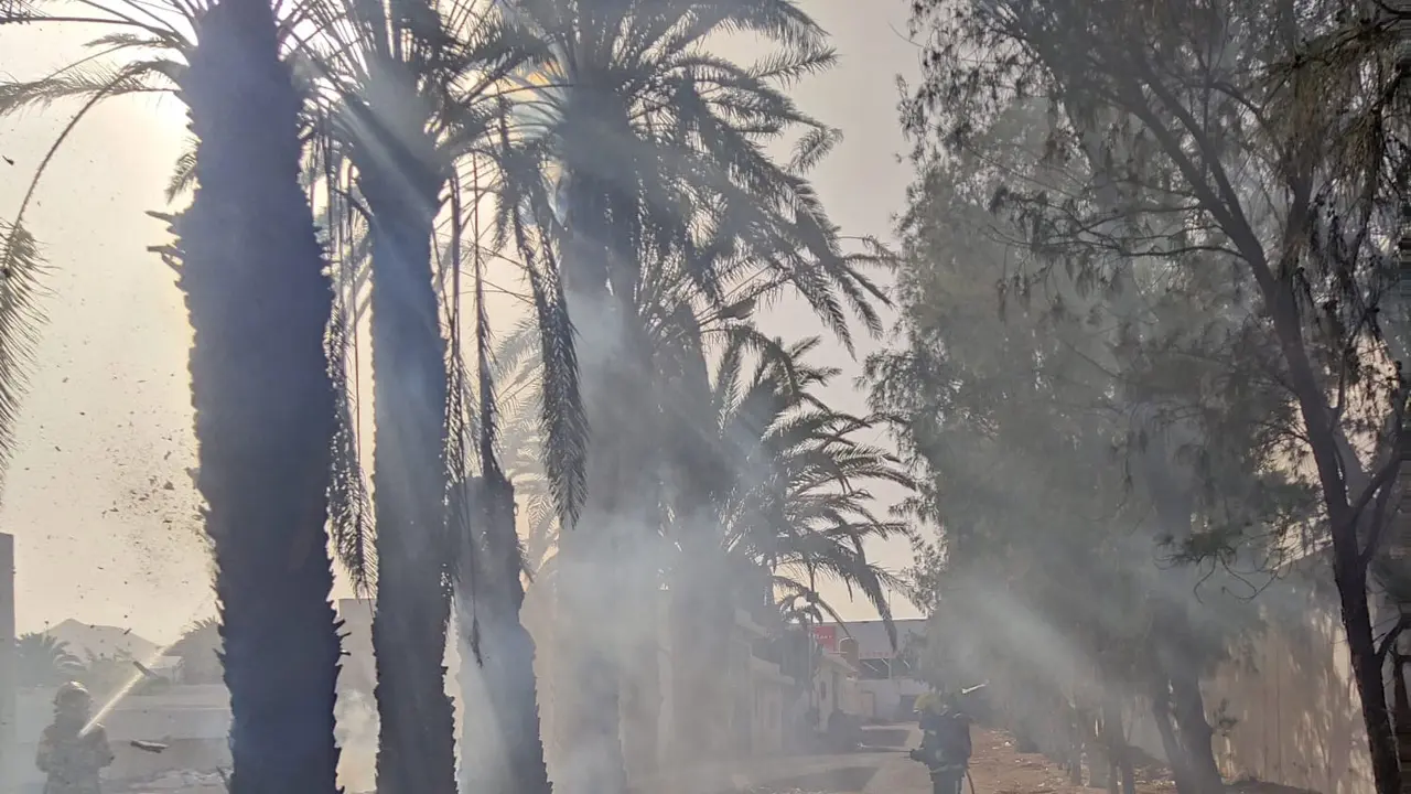 Incendio de las palmeras en Arrecife