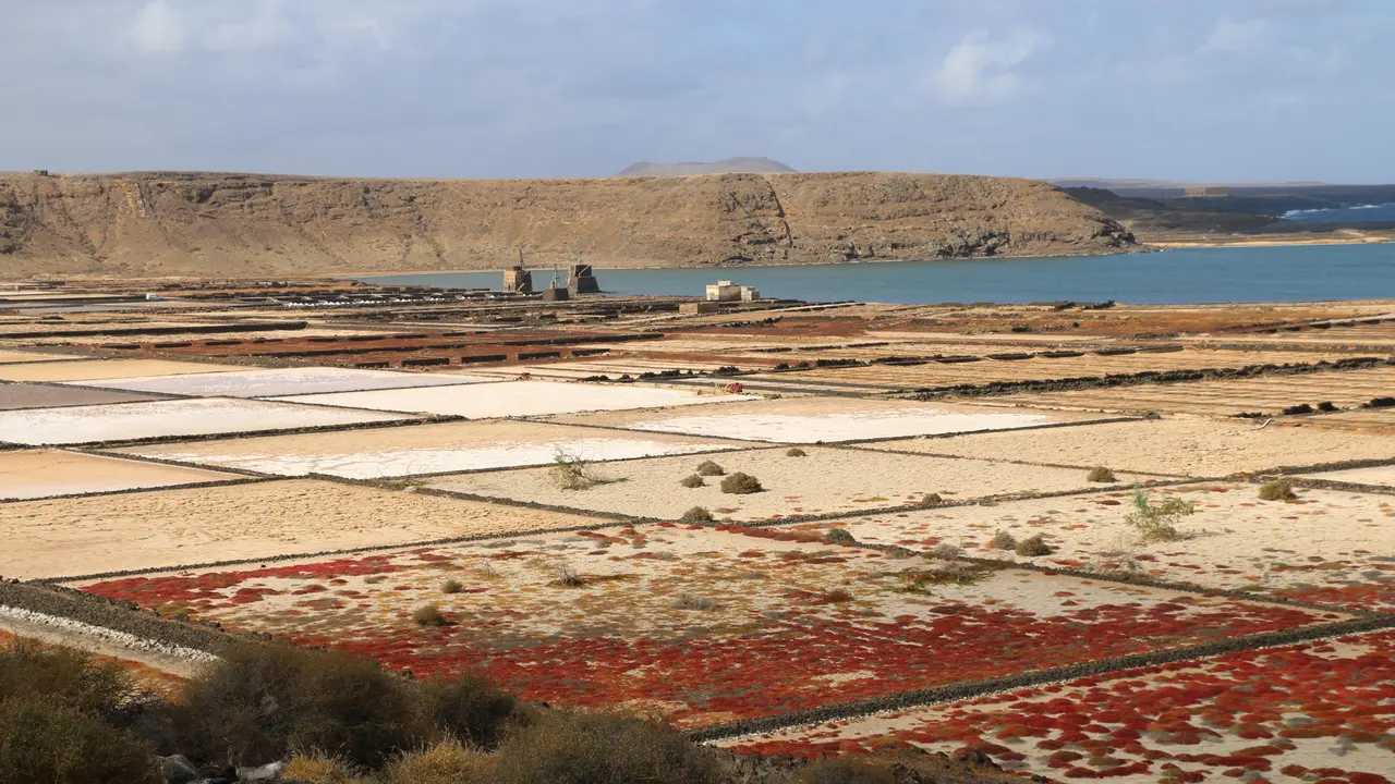 Molinos en las Salinas de Janubio