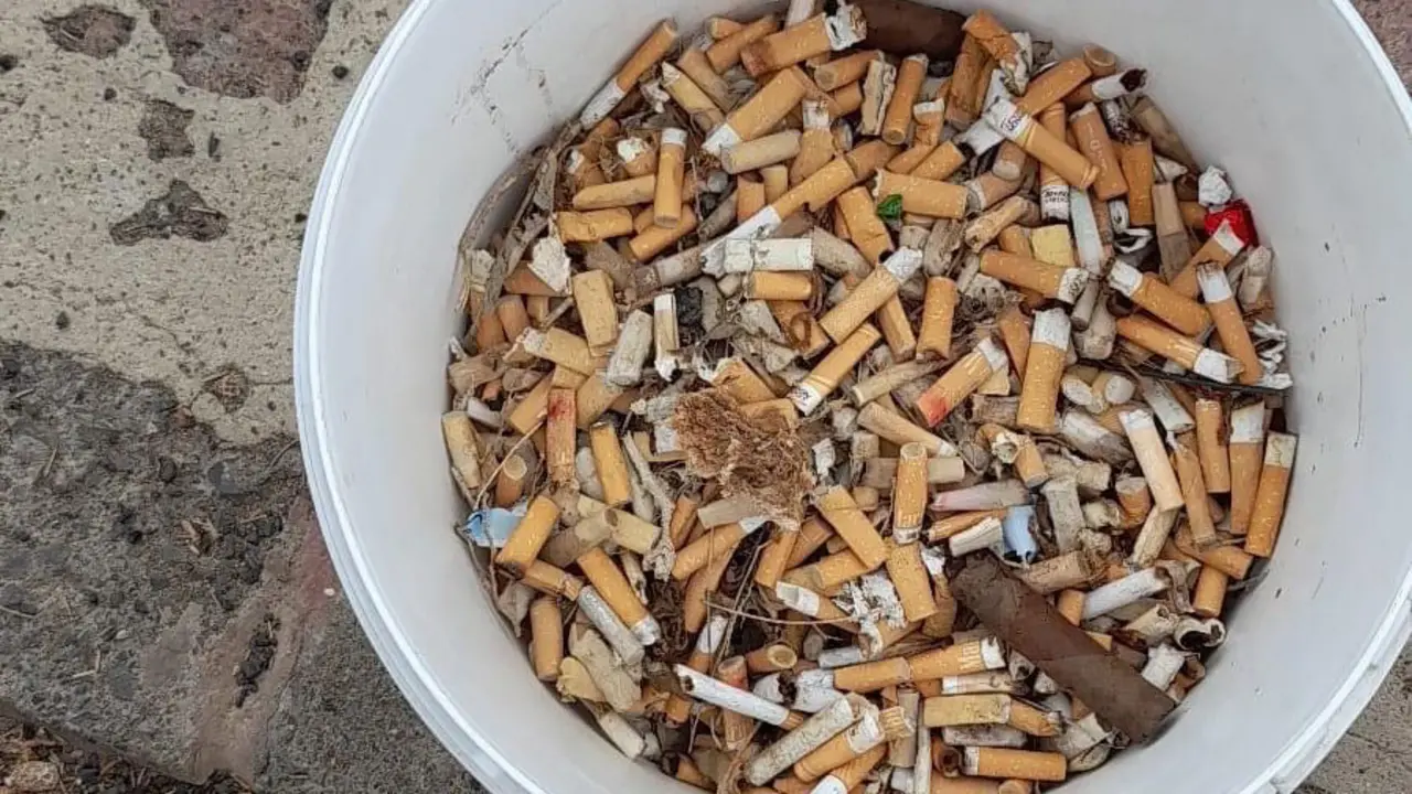 Colillas recogidas en la playa de La Garita en Arrieta