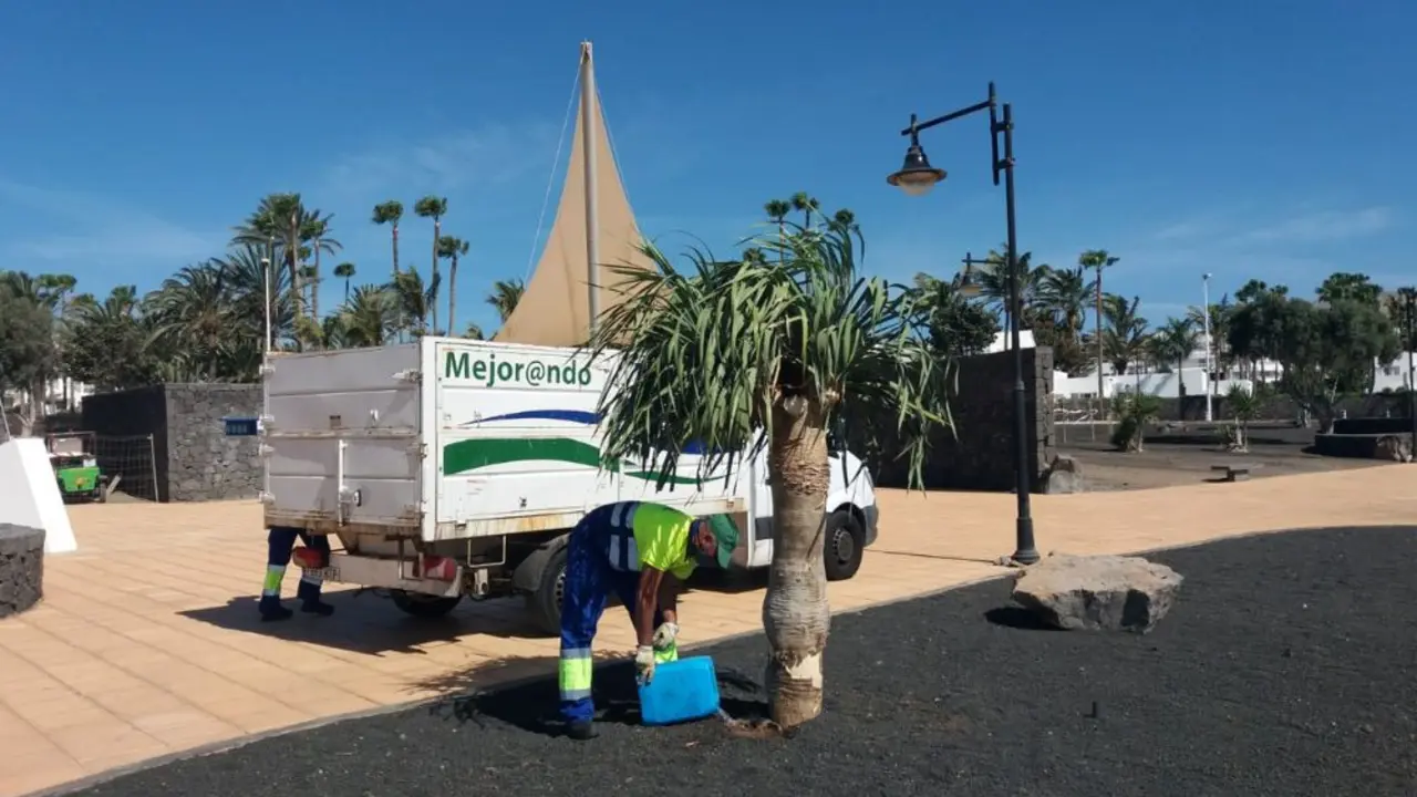 Operario de mantenimiento del Ayuntamiento de Tías