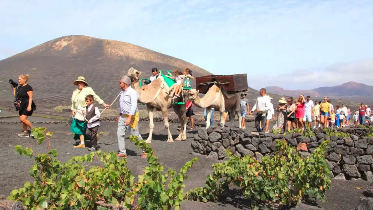 Vendimia en La Geria 2022