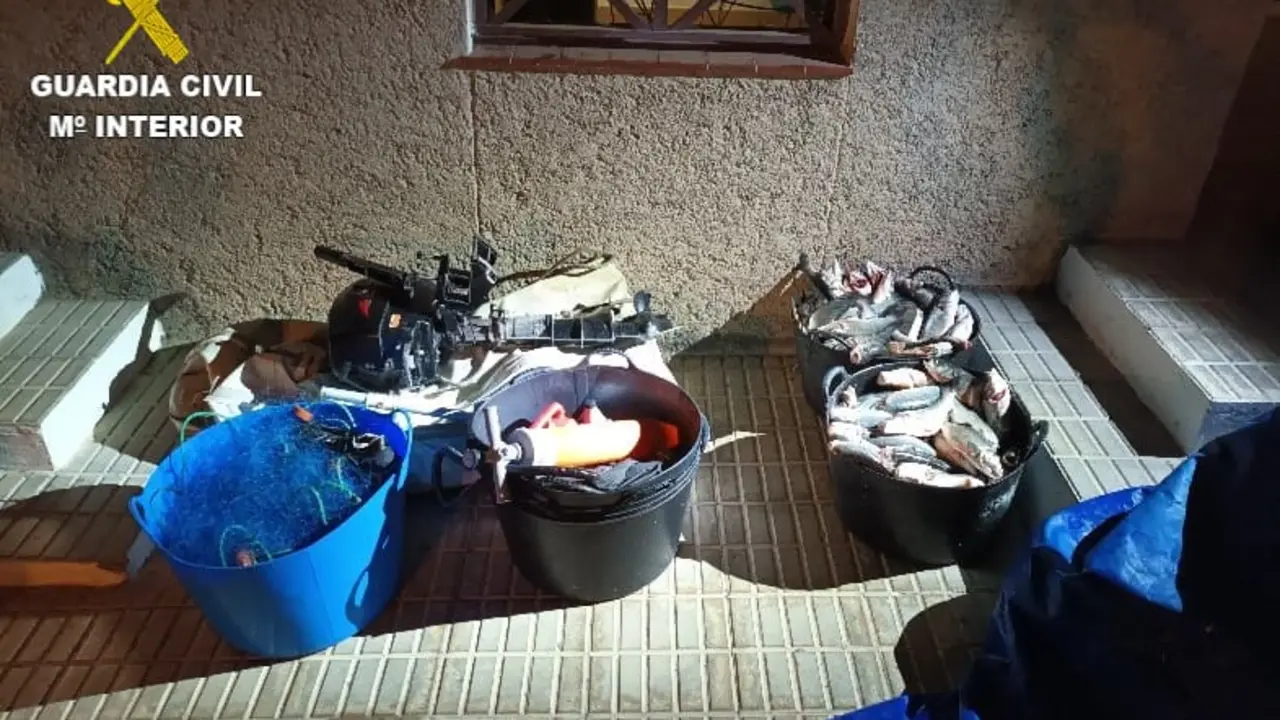 Las lubinas y otros enseres intervenidos