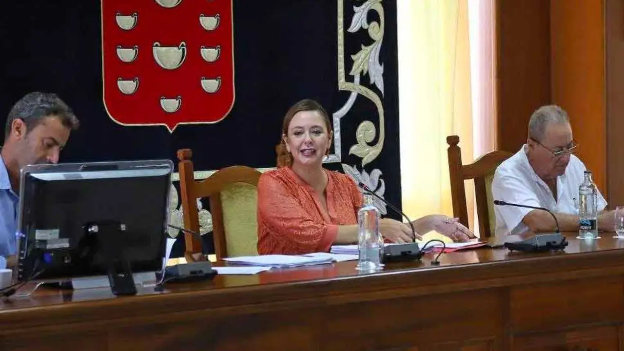 Mar&iacute;a Dolores Corujo en el pleno del lunes 24 de octubre