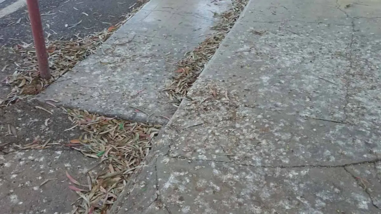 Zona descuidada de Guatiza