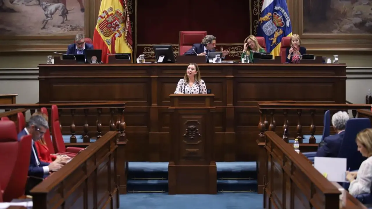 María Dolores Corujo en el Parlamento de Canarias