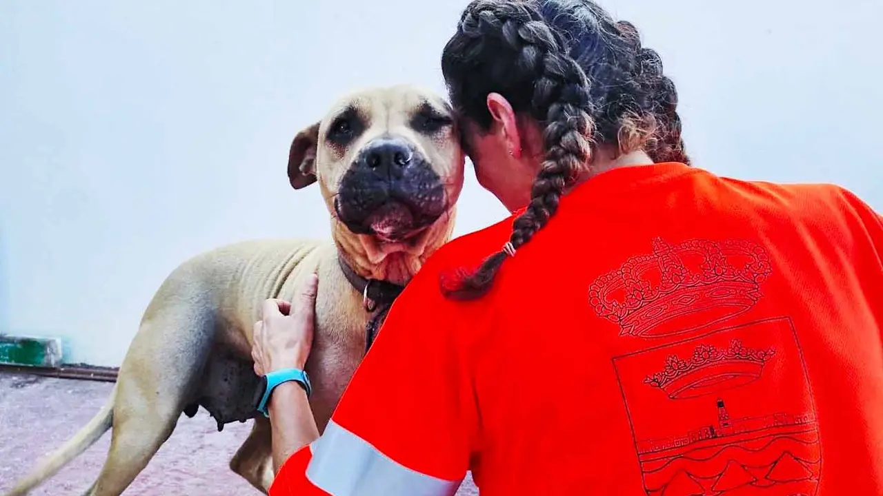 Bienestar Animal en Teguise