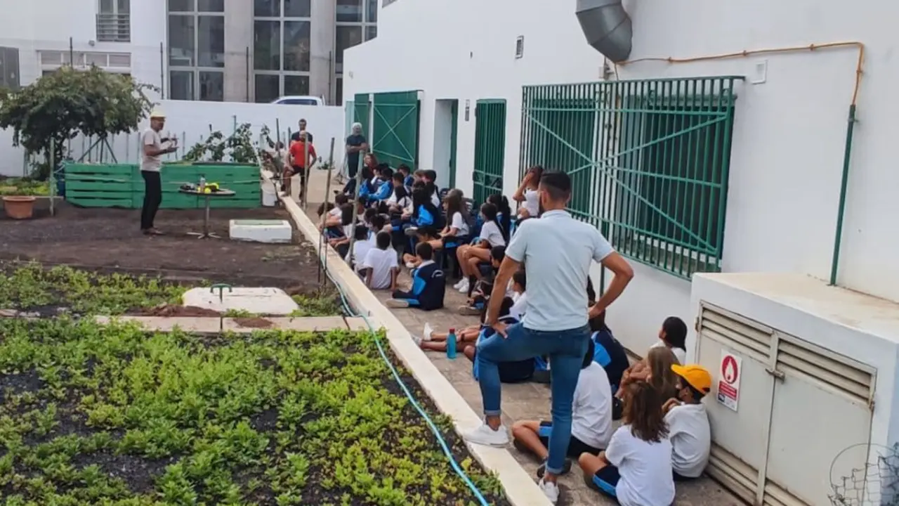 Proyecto Audaces en el huerto escolar