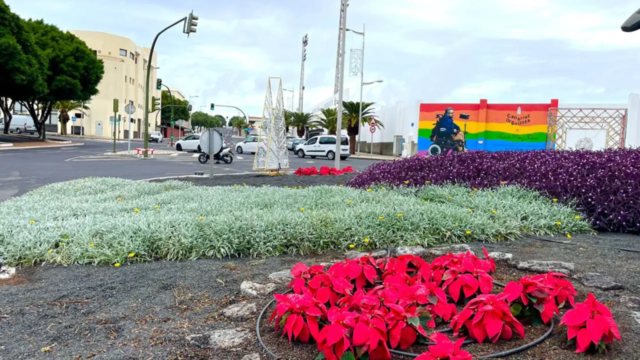 Flores de Pascua cerca de la Biblioteca Insular