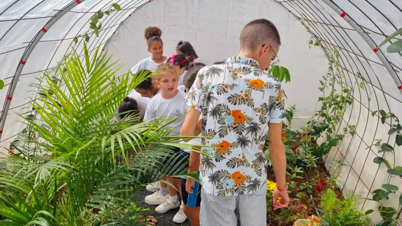 El CEIP Benito M&eacute;ndez Tarajano construye un mariposario
