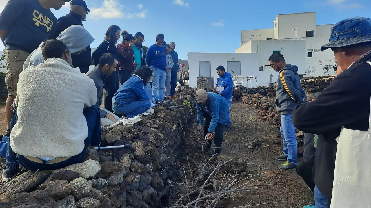 Curso de poda en Tinajo