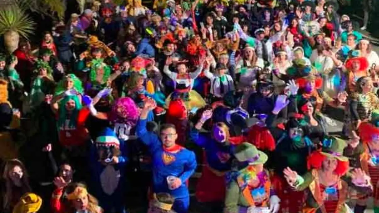 Carnaval de Har&iacute;a