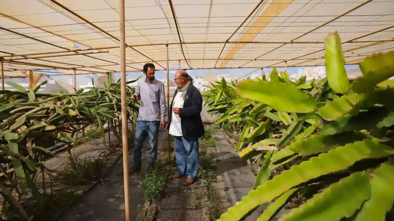 Centro de Conservaci&oacute;n de la Biodiversidad de Lanzarote