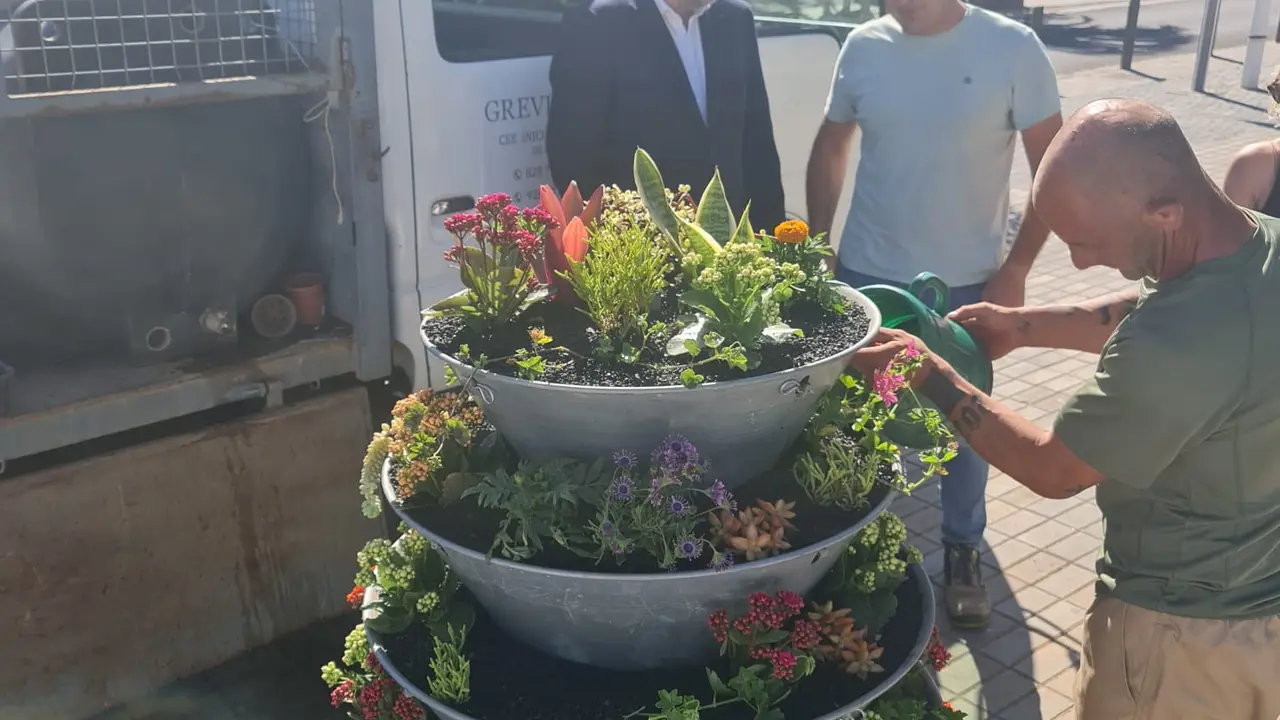 Grevislan en San Bartolomé