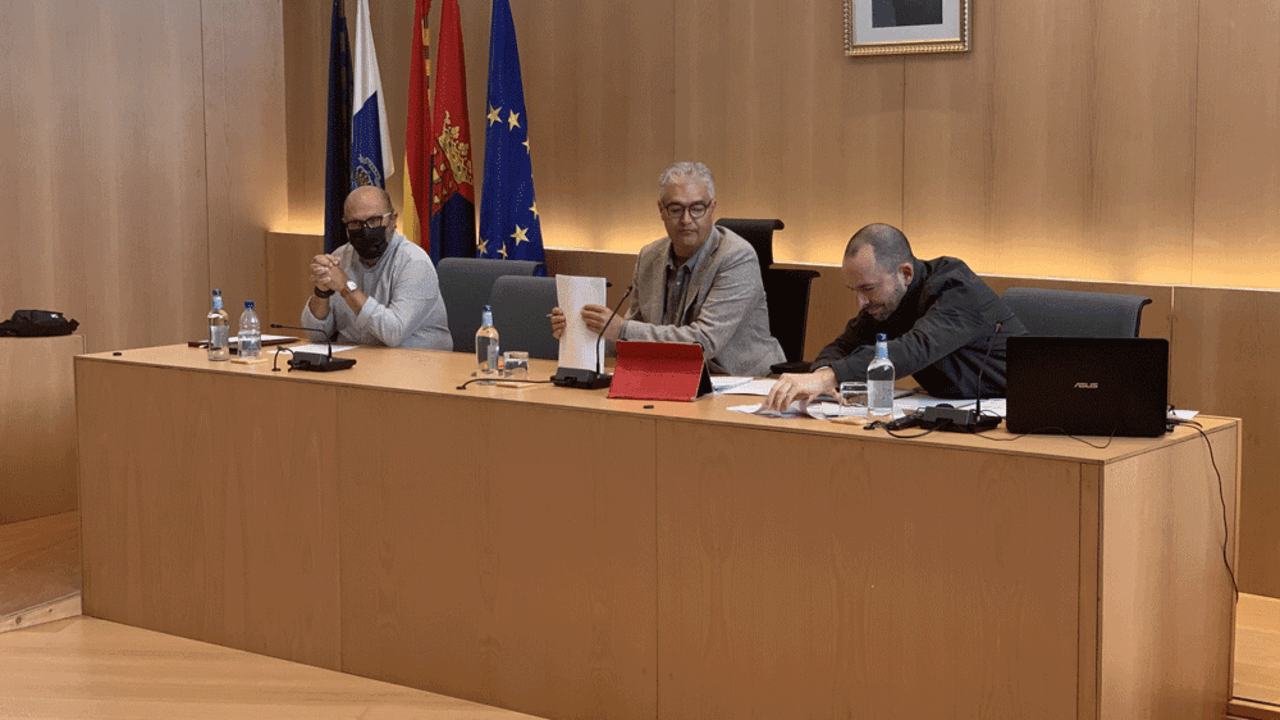 Un momento de la sesión plenaria en Tías