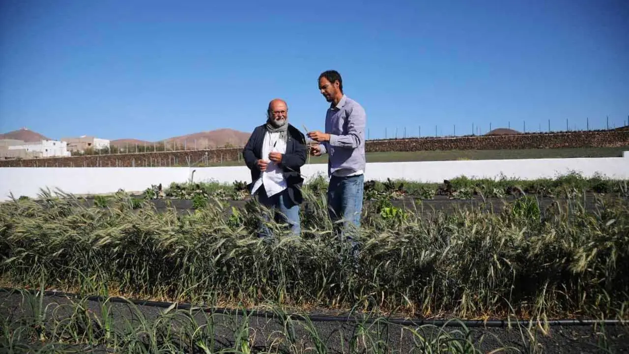 Nicol&aacute;s Saavedra