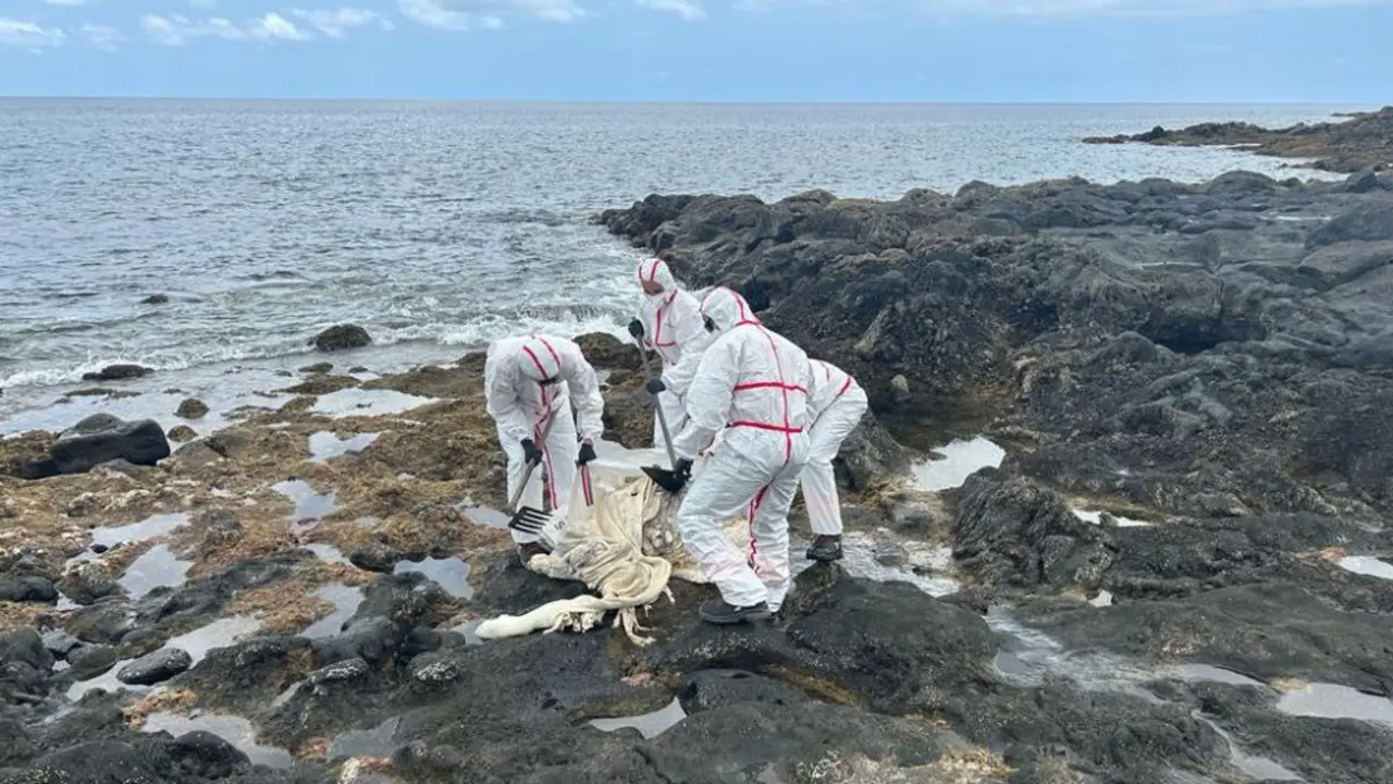 Los bomberos retiran el cad&aacute;ver de la vaca