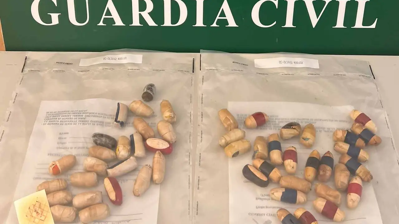 Bellotas incautadas por la Guardia Civil