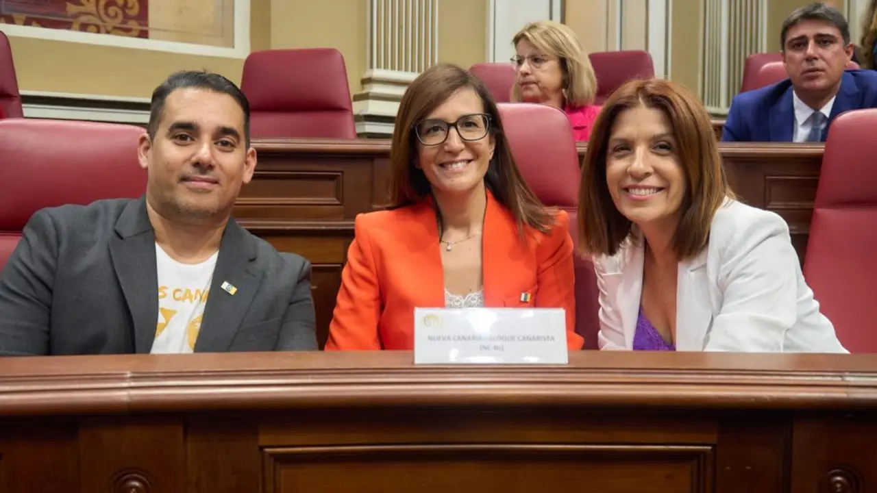 Yon&eacute; Caraballo en el Parlamento de Canarias