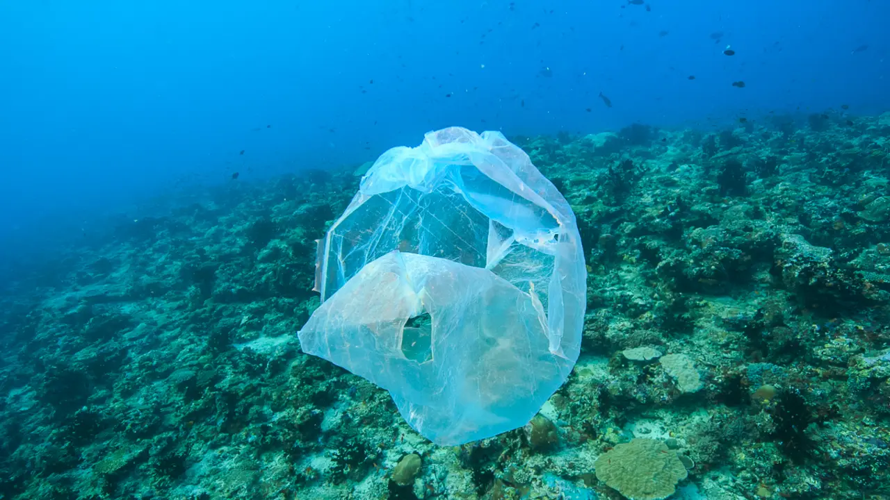 floating plastic bag