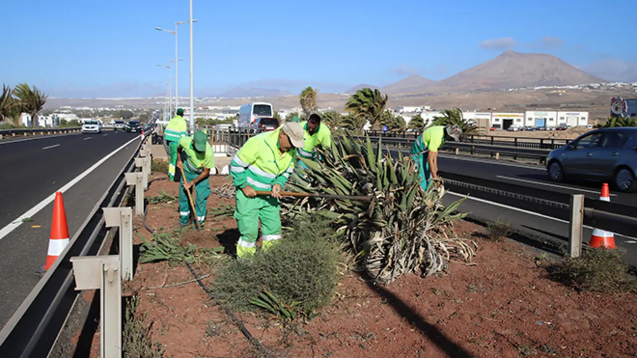 Limpieza de márgenes de carreteras en lanzarote.