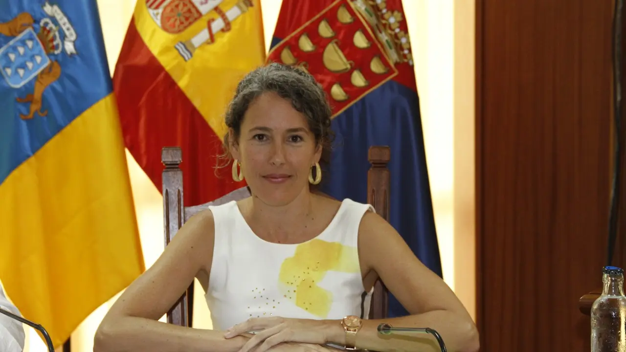 Ariagona González - Pleno del Cabildo
