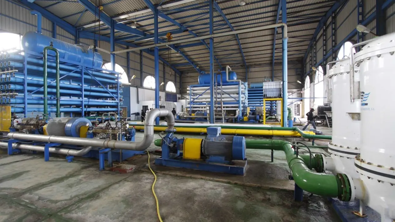 Planta Lanzarote III.