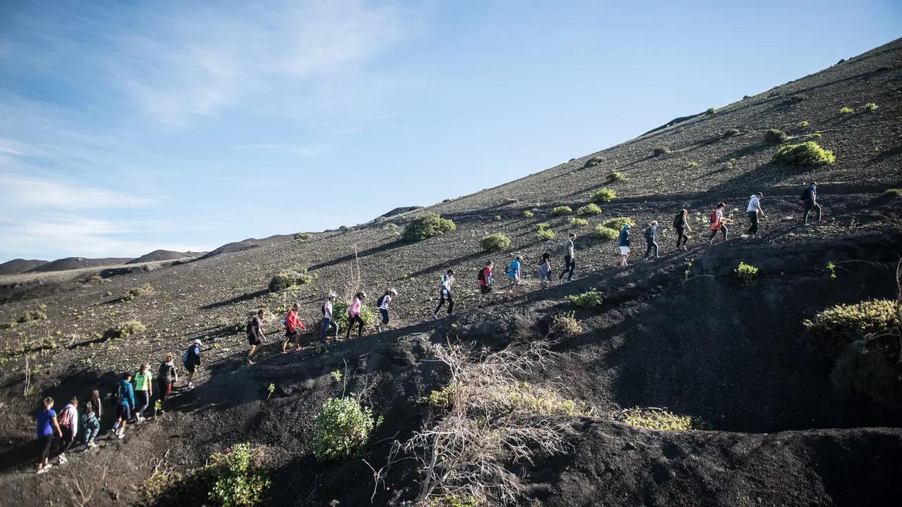 Pateada por los volcanes organizada por la Muestra de Cine de Lanzarote en 2018, en la que se aprecian ejemplares de vinagrera. Foto Javier fuentes.