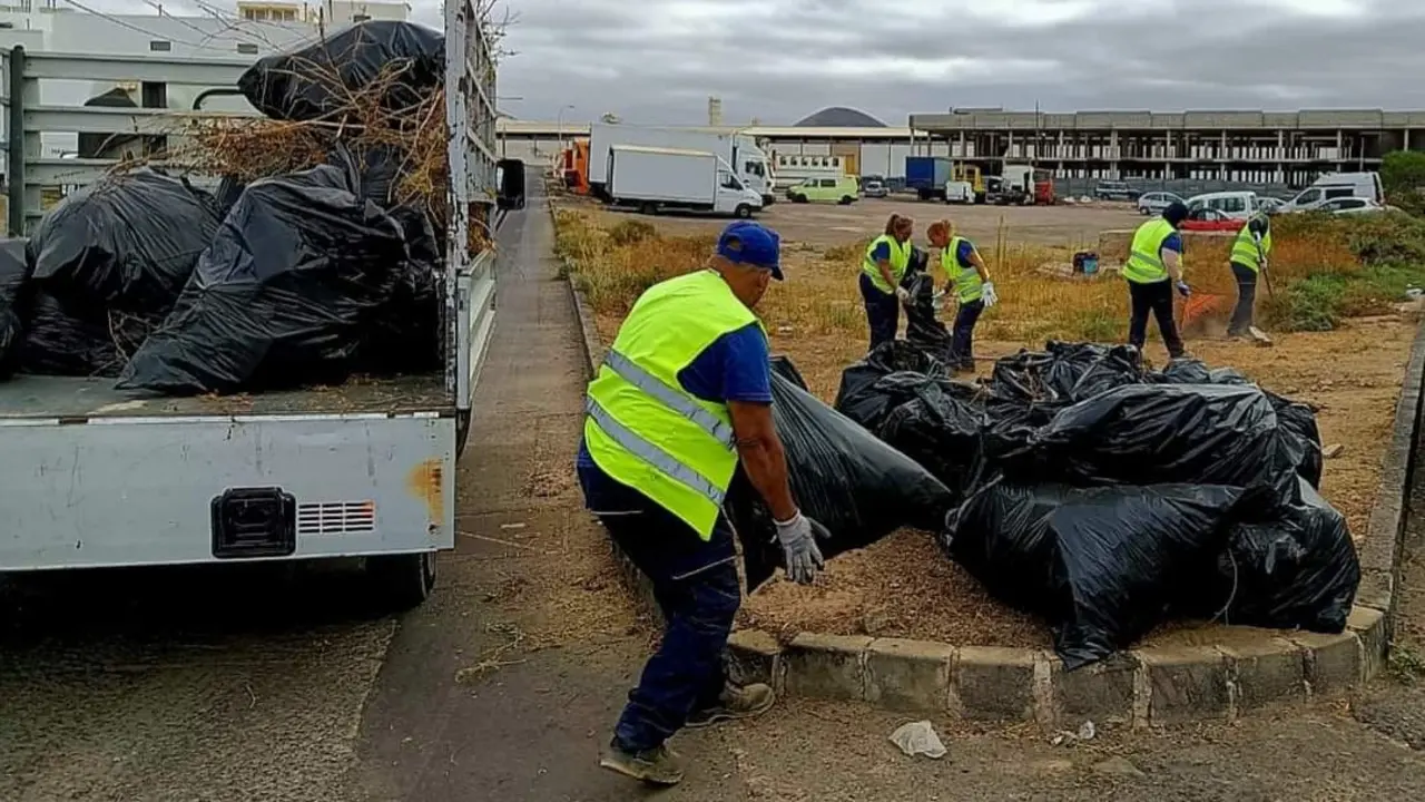 Limpieza de Arrecife.