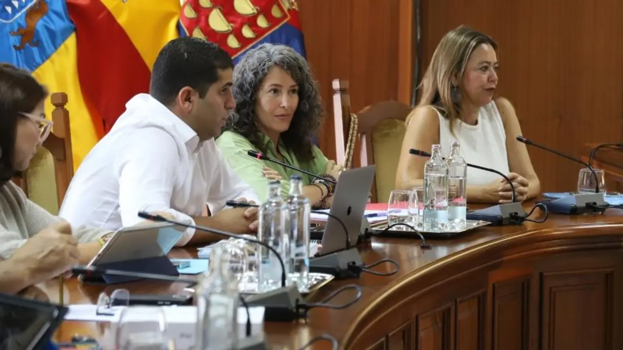 Representantes del PSOE en el Cabildo.