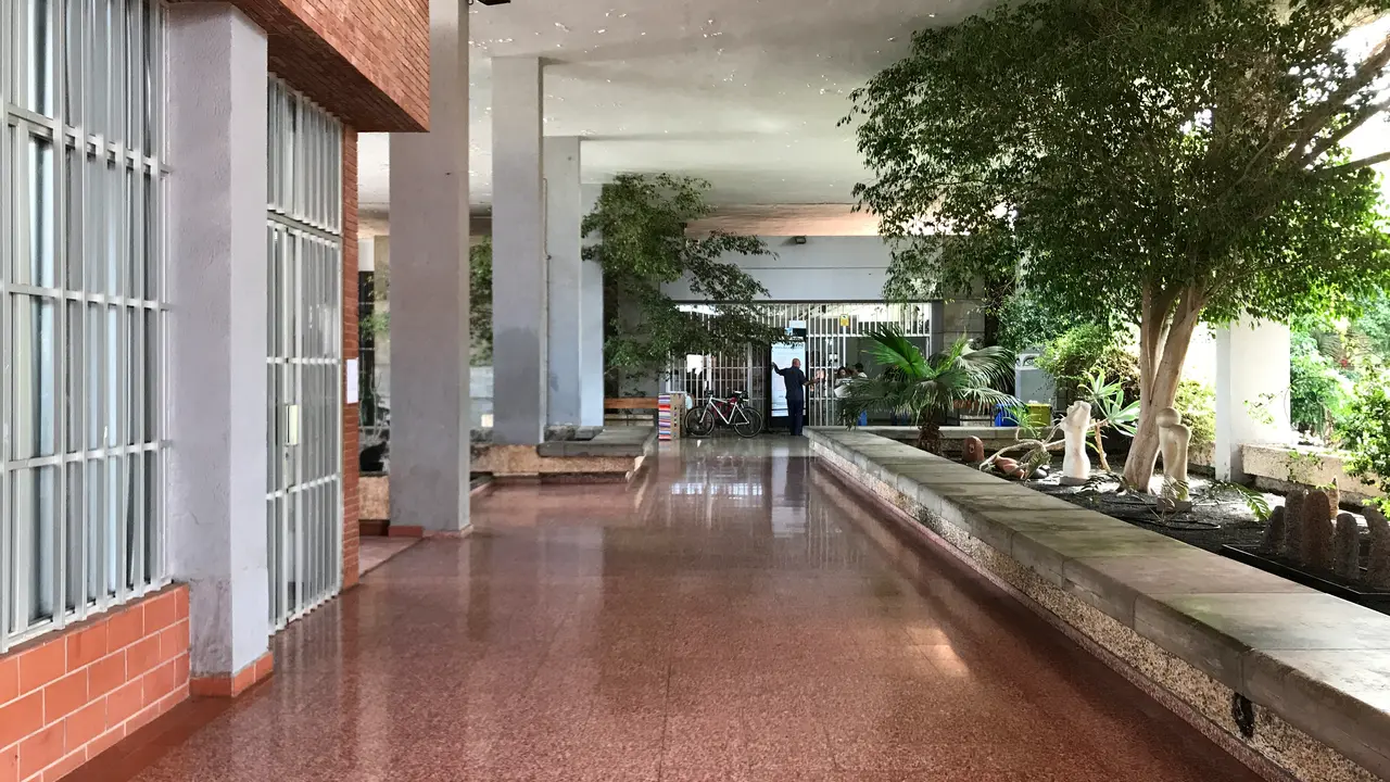 Escuela de Arte Pancho Lasso, acceso desde el jardín.