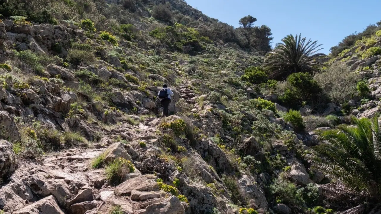 Barranco de Elvira Sánchez, Haría.
