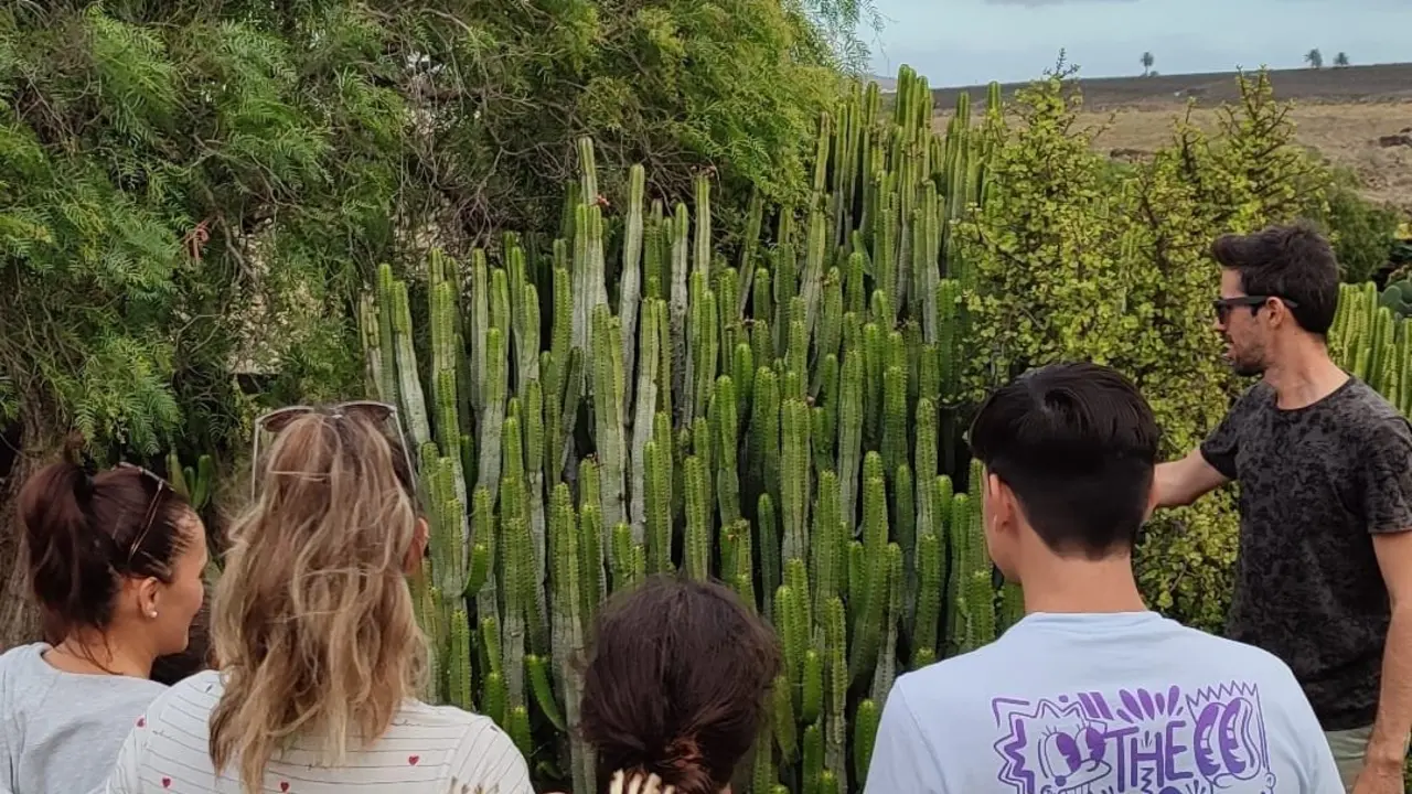 Imagen de jardinbotanicolanzarote.com