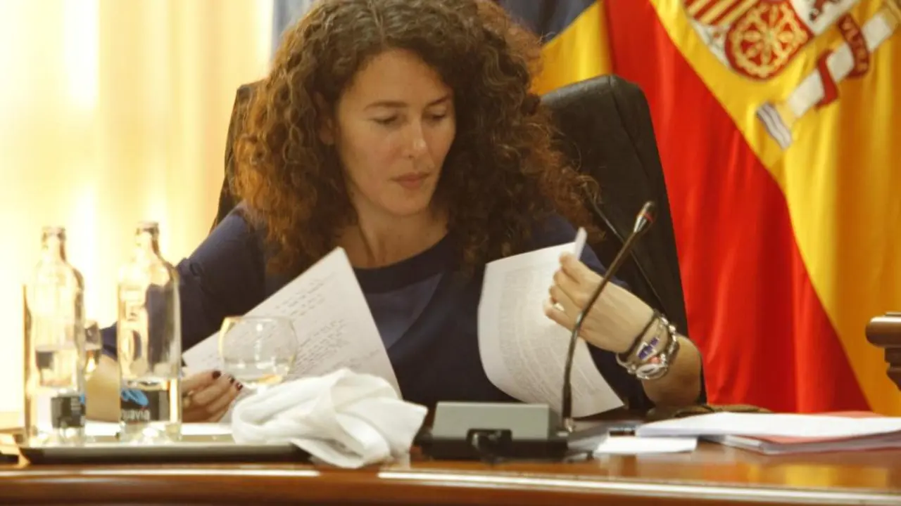 Ariagona Gonz&aacute;lez, protavoz del PSOE en el Cabildo de Lanzarote.