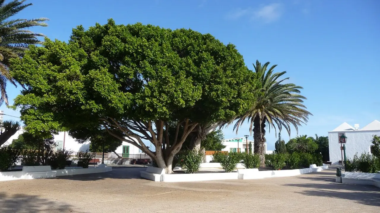 Plaza de San Roque, Tinajo.