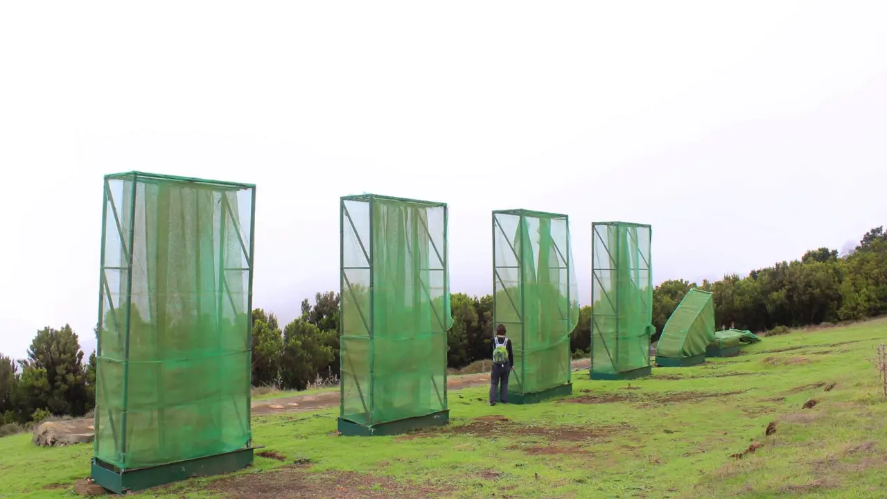Captadores de niebla en El Hierro. Foto Ander Izaguirre.