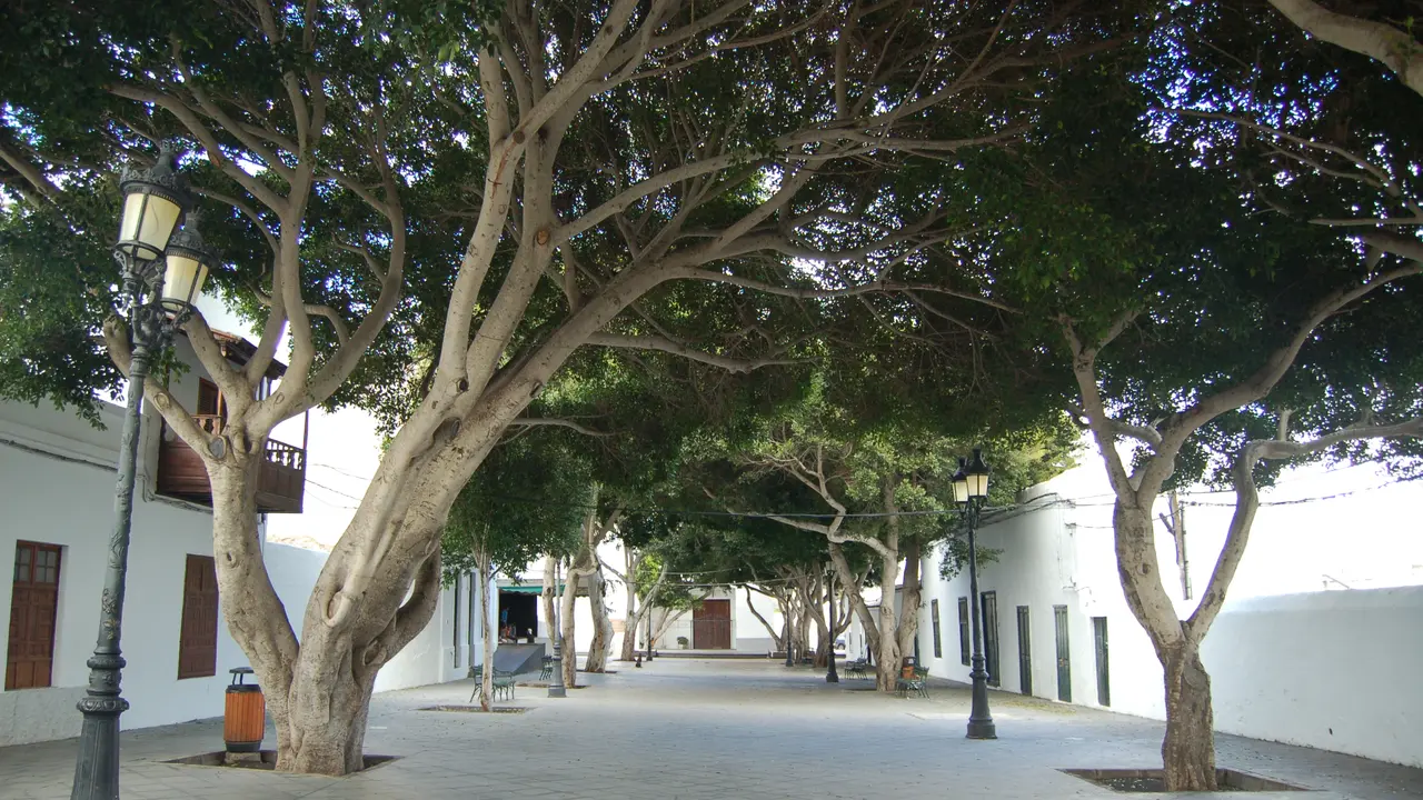 Plaza de Har&iacute;a.