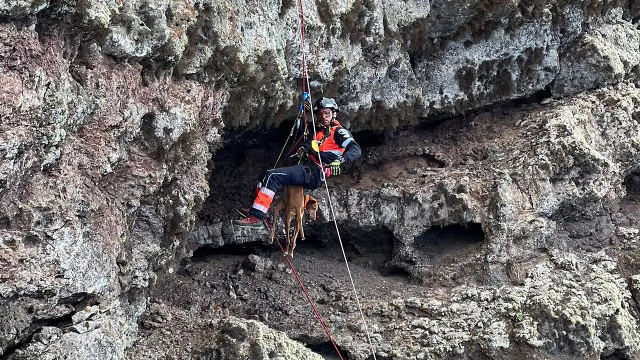 Imagen del rescate del podenco.
