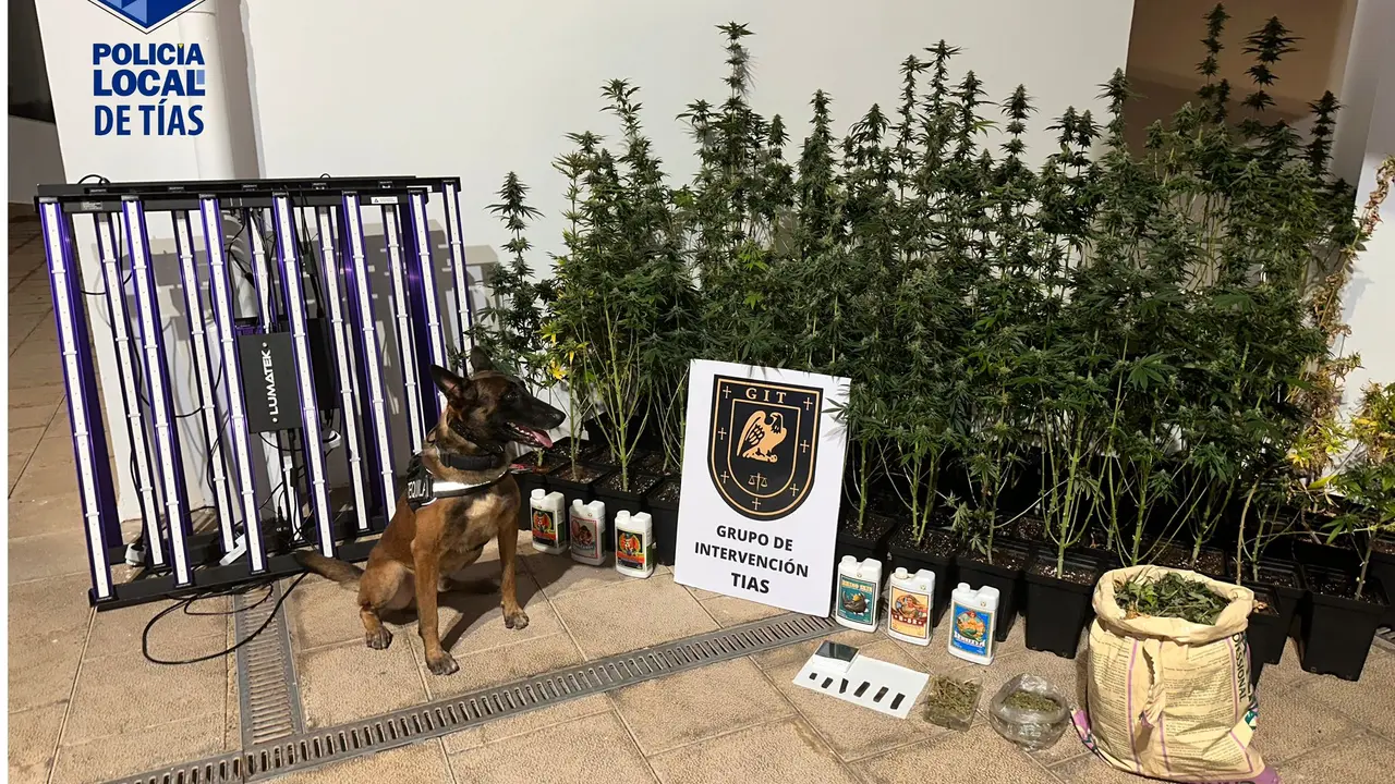 Material incautado por la Policía Local de Tías.