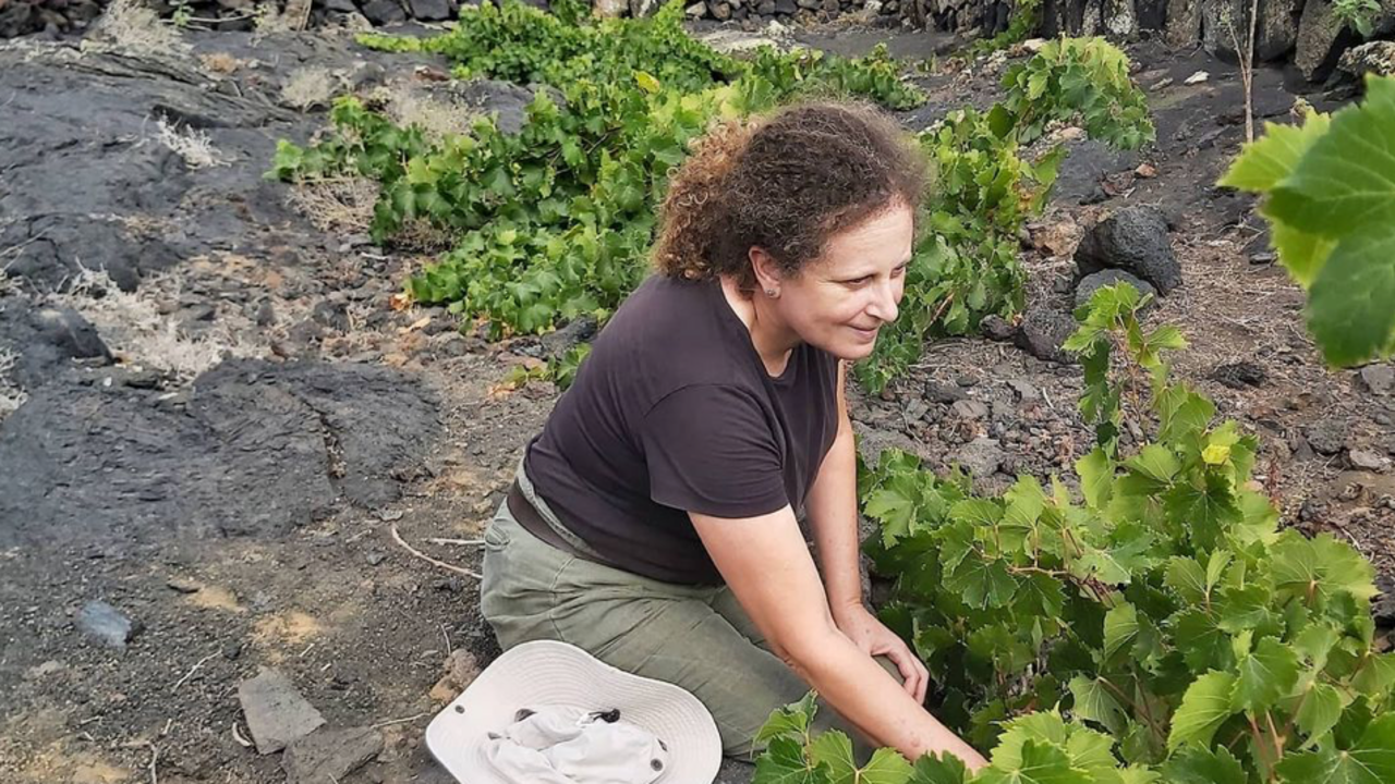 Ascención Robayna, SAT El Jable.