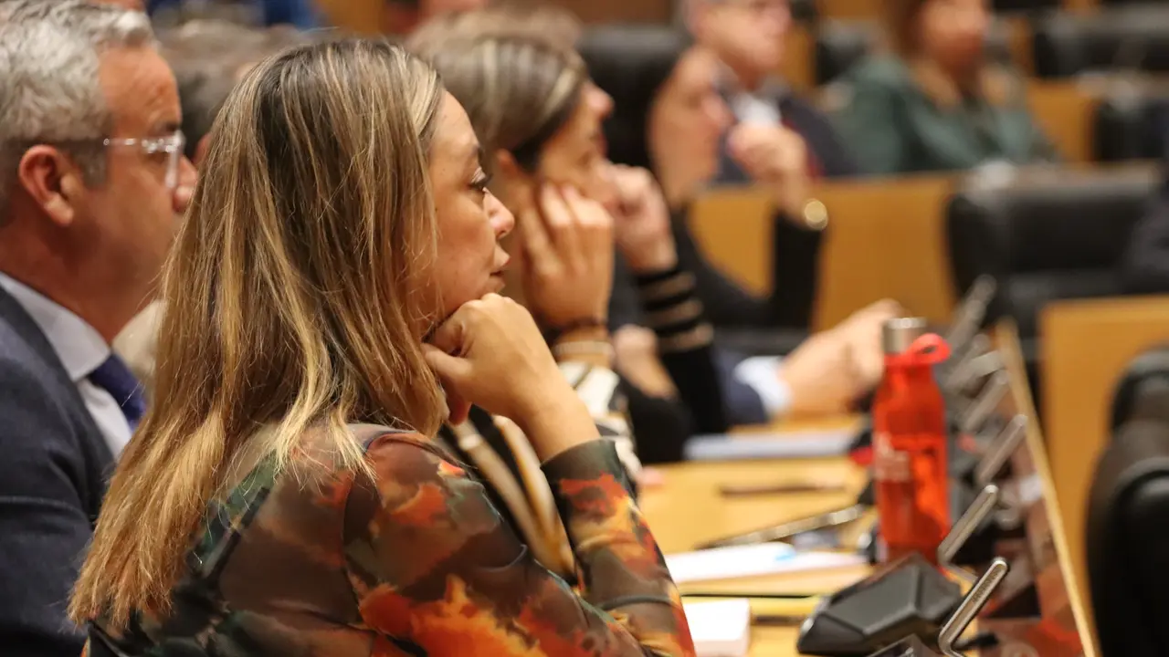 Loli Corujo en el Congreso de los Diputados.