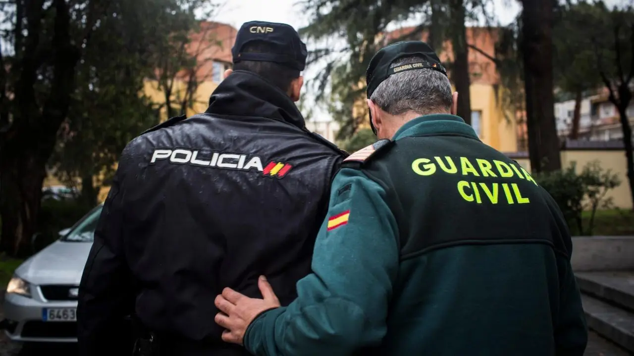 Agentes de la Policía Nacional y de la Guardia Civil.