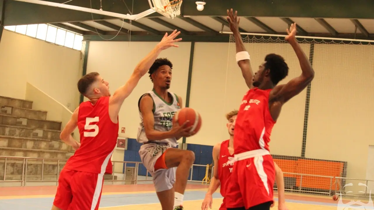 Hortofrutícola - Telde.