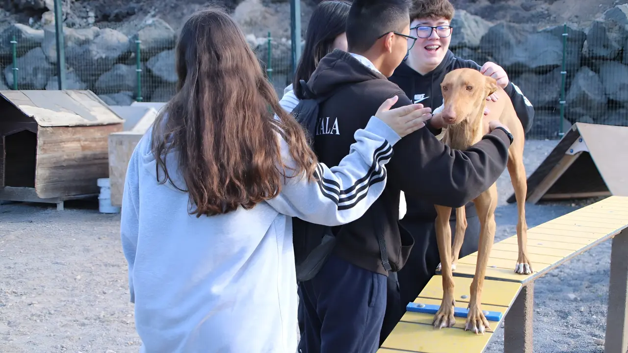 Excursión del CEO Playa Blanca.