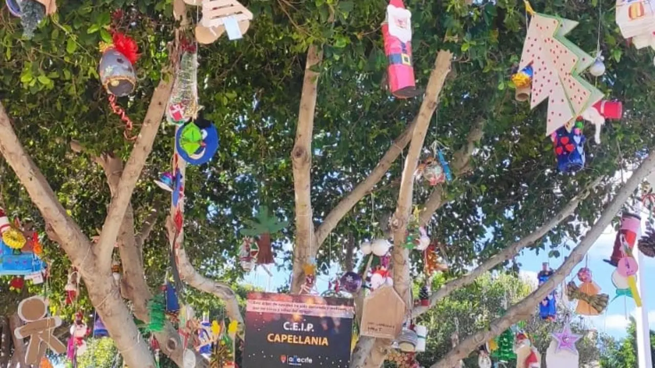 Árboles decorados por los escolares de Arrecife.