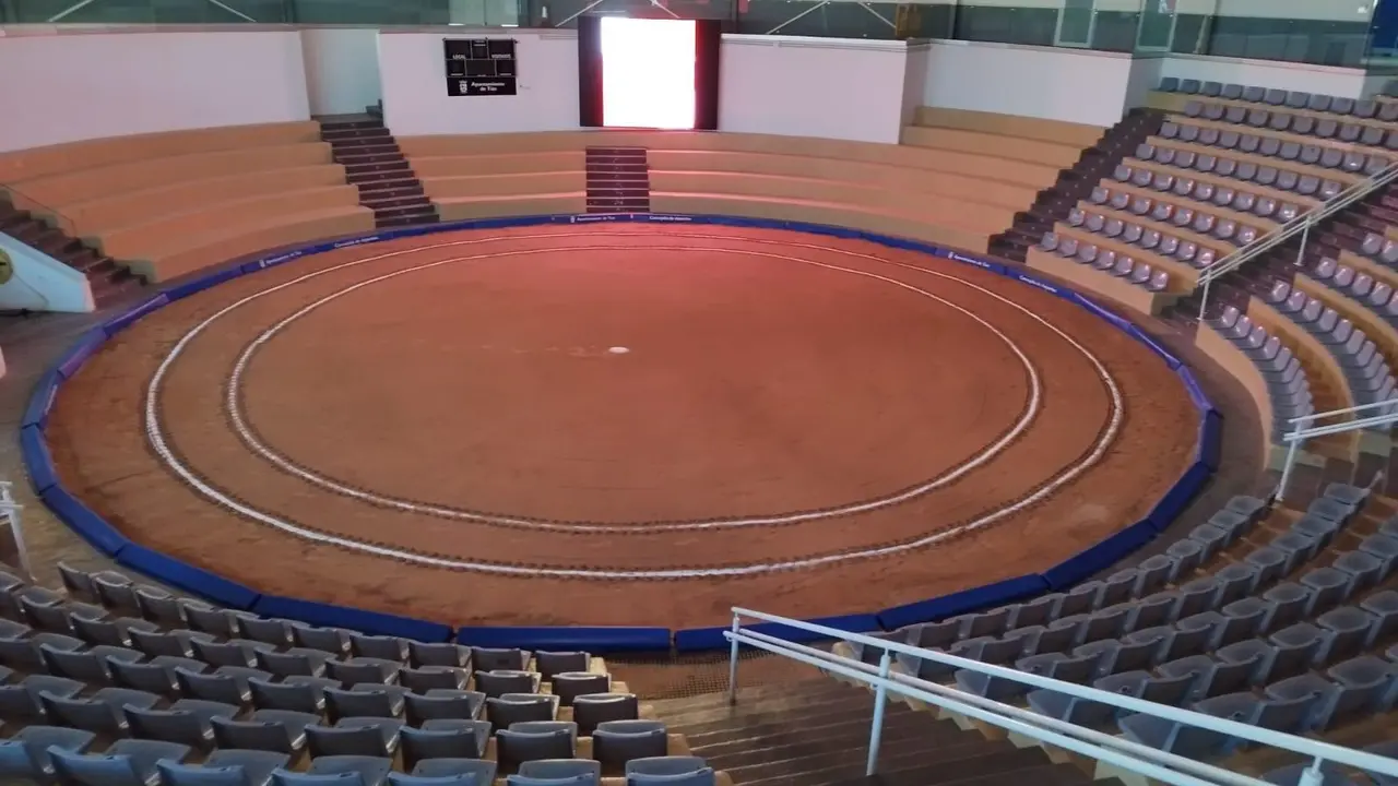 Terrero de lucha de Tías.