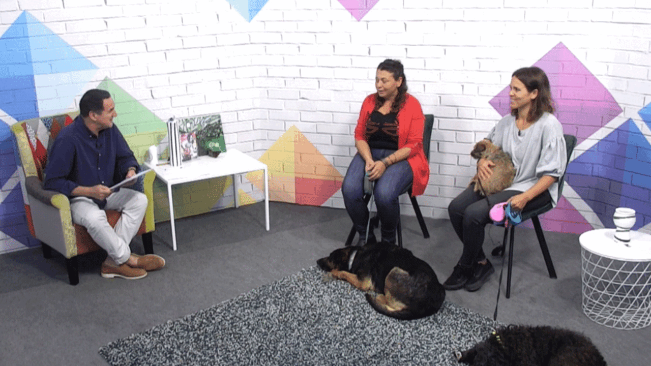 Casa de las Estrellas en el Magazine de BiosferaTV