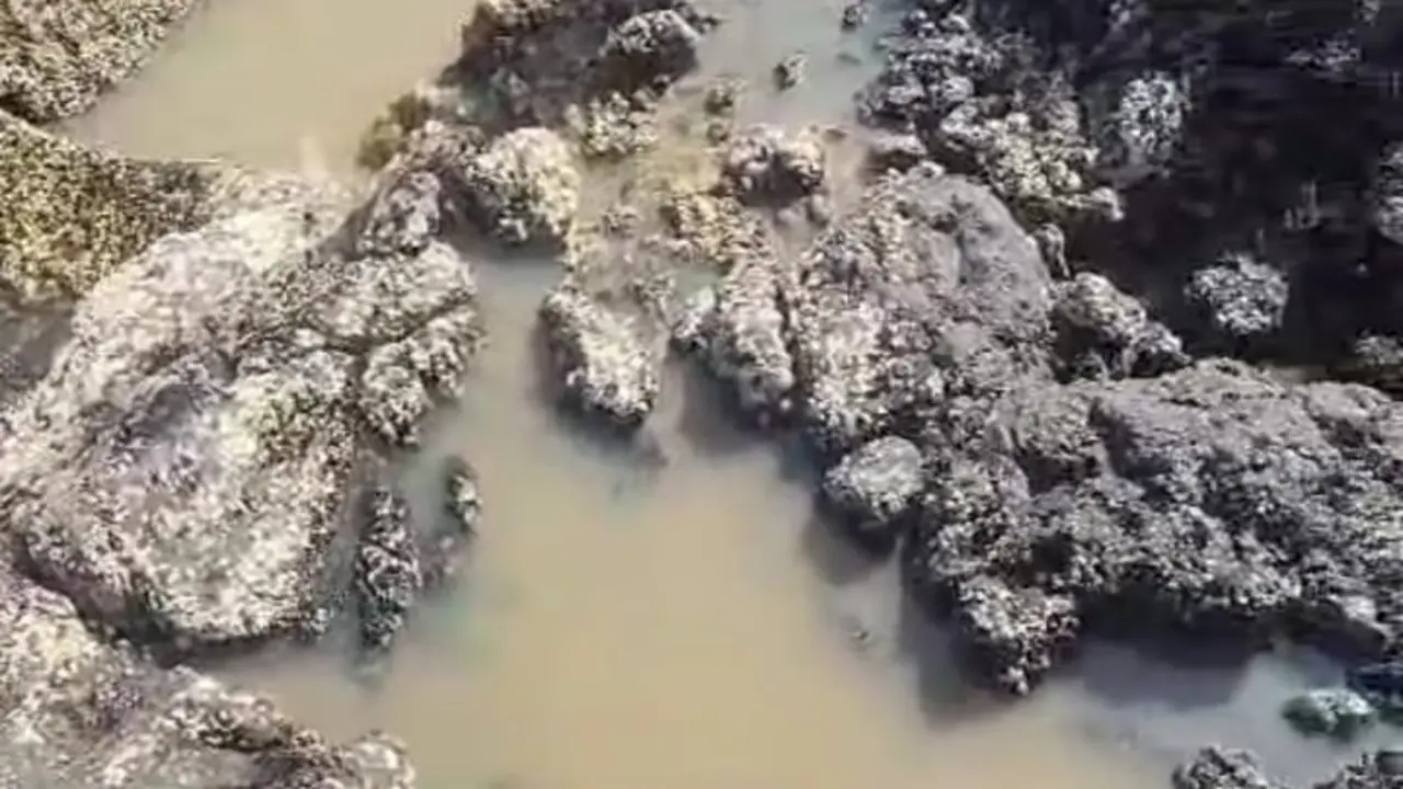 Aguas fecales en Punta Mujeres.