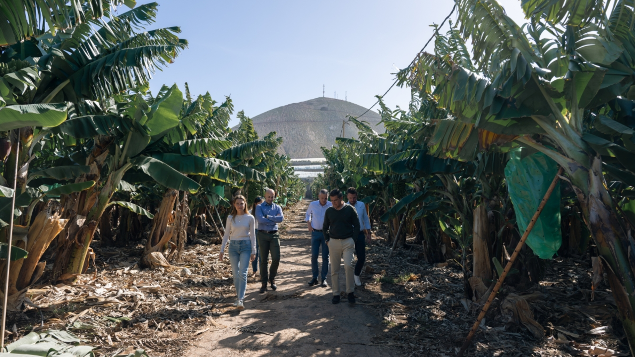Representantes de HiperDino realizan una visita a una de las fincas propiedad del Grupo Félix Santiago Melián.